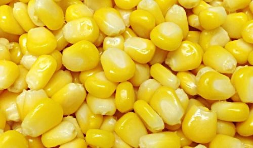 Frozen Sweet Corn