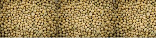 Soyabean Meal, Country of Origin : India