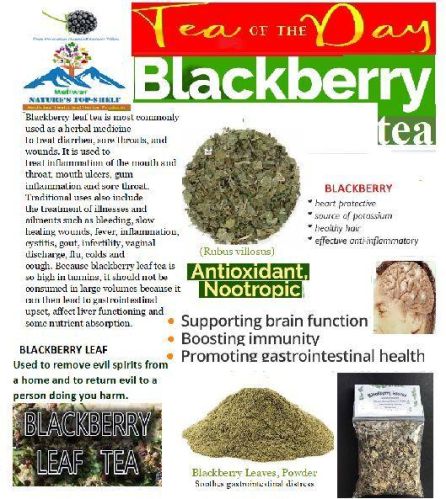 Blackberry Leaf Tea, Packaging Type : Loose
