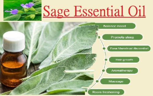 Common Leaf Sage Oil, For Cosmetics, Medicines, Supply Type : Liquid