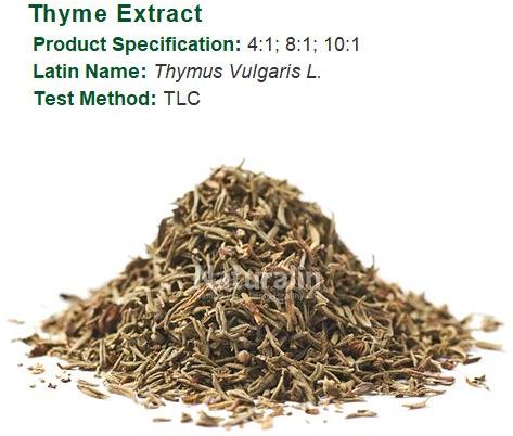 Natural Thyme Extract, For Medicinal, Food Additives, Grade : Pharmaceutical Grade