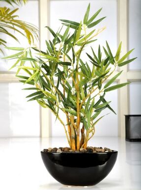 Fourwalls Artificial Bonsai Bamboo Plant