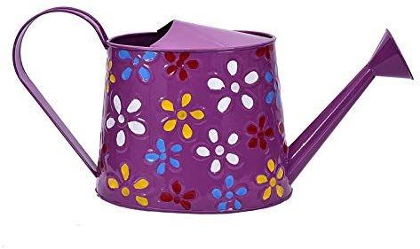 Coated Purple Metal Watering Can, For Gardening Use, Pattern : Printed