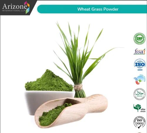 Arizone Wheat Grass Powder, Packaging Size : 25 Kg