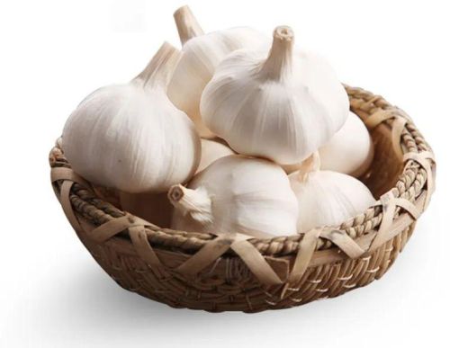 Organic Fresh White Garlic, Is It Imported : Imported