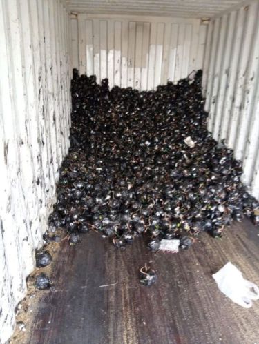 Fridge AC Compressor Scrap, Condition : Used, Packaging Type : Black