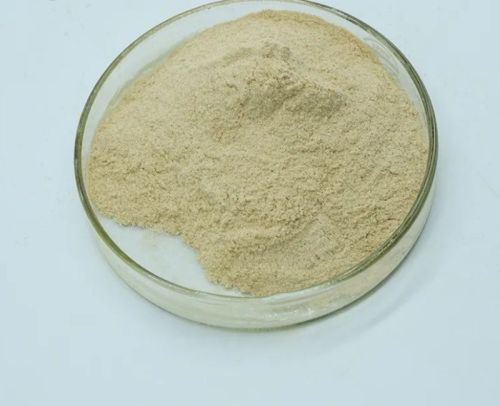 50-70 Deg C Protease Enzyme, Packaging Size : 0-25 Kg, Purity : 99%