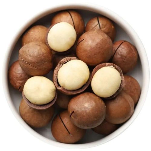 Roasted Macadamia Nuts, Packaging Type : Plastic Packat