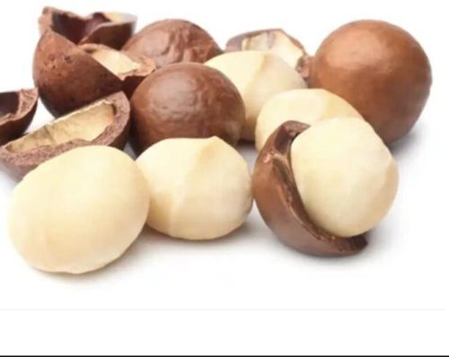 Dried Fruit Raw Macadamia Kernels Nuts
