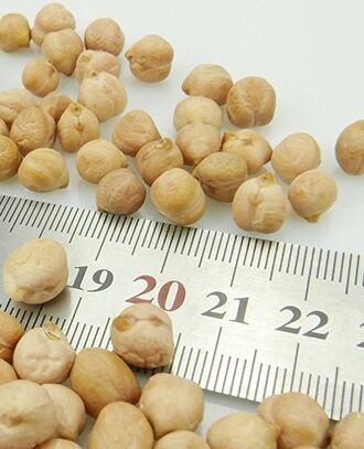 Common chick peas, Packaging Type : carton paper