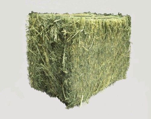 Alfalfa Hay, Packaging Size : 25-50Kg