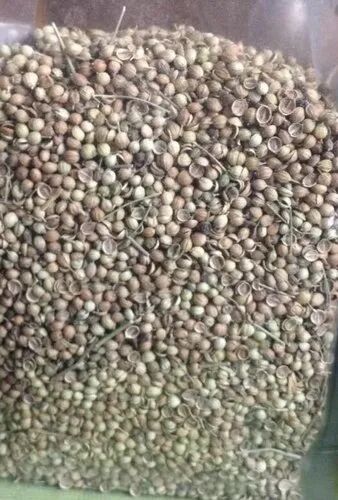 Dry Coriander Seed, Packaging Size : 50-100 G