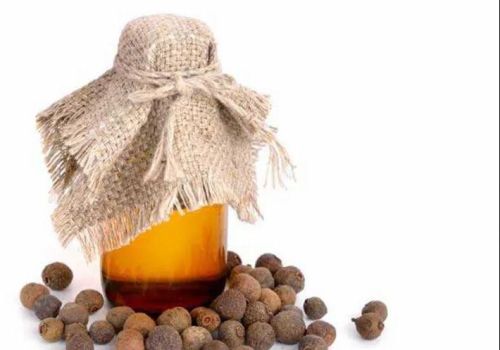 Allspice Oil, For Anesthetic, Analgesic, Antioxidant, Antiseptic, Carminative