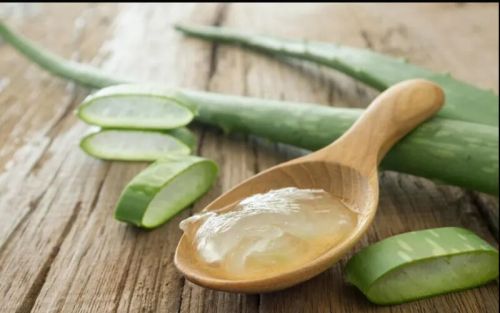 Organic Aloe Vera Extract, Style : Fresh