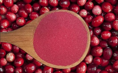 Powder Cranberry Extract, For Medicinal, Food Additives, Beauty
