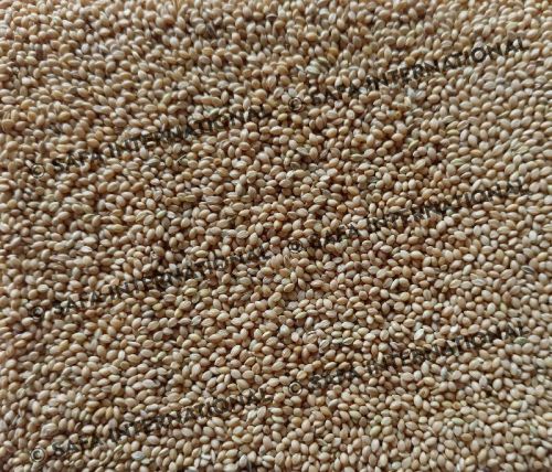Yellow Millet Bird Seeds