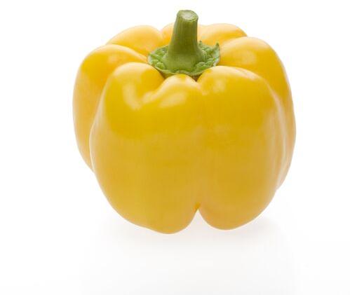 Organic Yellow Capsicum
