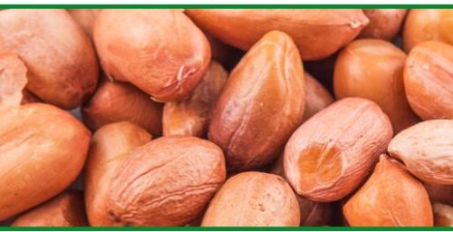 Groundnut Kernels