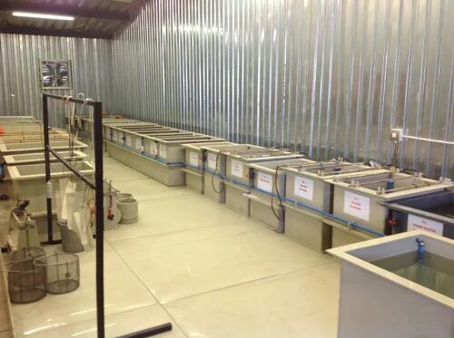 Electroplating Tank, Storage Material : Acid - Chemicals- Oil- Water