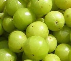 Fresh Amla, Shelf Life : 1-2 Weeks
