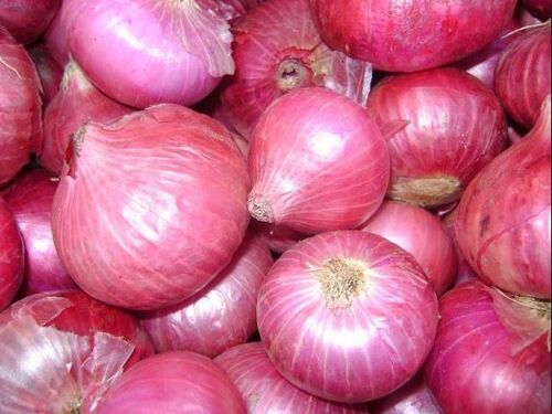 Natural Fresh Pink Onion, For Cooking, Enhance The Flavour, Human Consumption, Packaging Type : Jute Bags