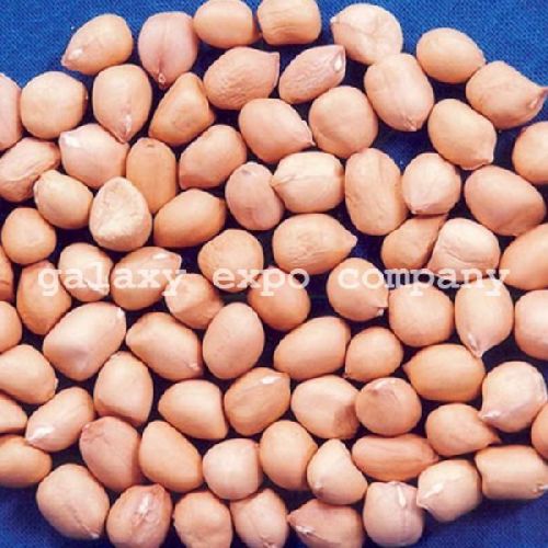 Raw Natural Java Peanut, For Butter, Cooking Use, Making Oil, Packaging Type : Jute Bag, Plastic Packet