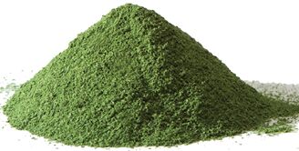 Moringa Oleifera Powder