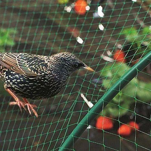 HDPE Anti Bird Net