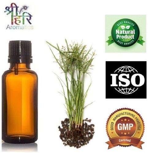 NUT GRASS OIL, Purity : 100% Pure Natural