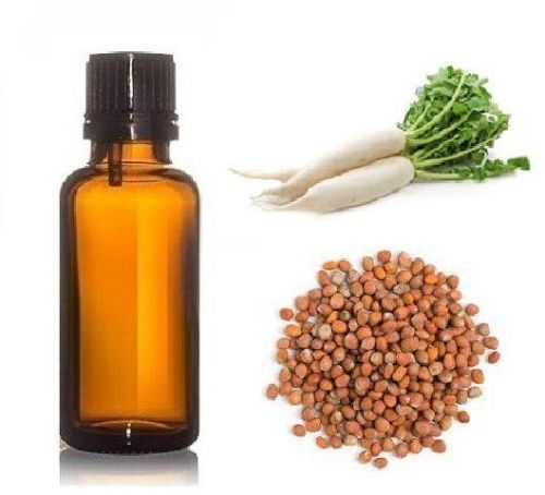 RADISH SEED OIL, Certification : MSDA, COA, ISO, GMP