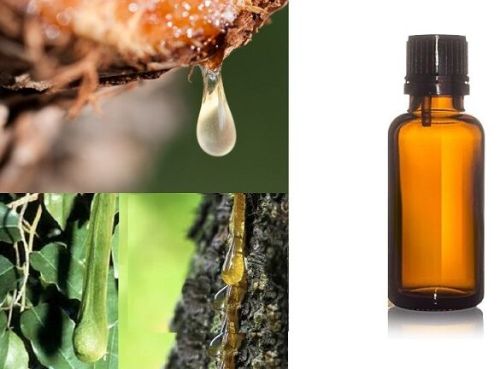 Rogan Balsam Oil, Purity : 100% Pure Natural