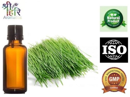 WHEAT GRASS OIL