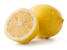 High Quality Fresh Seedless Lime Lemon From Vietnam