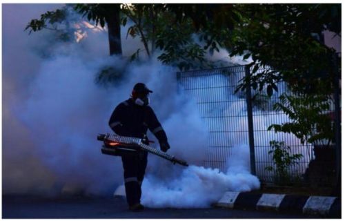 Mosquito Fogging Service