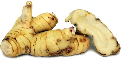 Galangal Roots