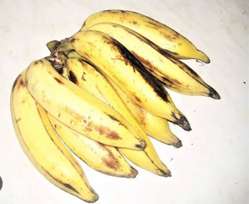 Organic Fresh Ripe Banana, Feature : Nutritious