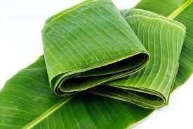 Natural Fresh Banana Leaf, For Making Disposable Items, Feature : Good Quality, Easy To Grow