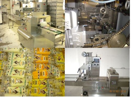 Popsicle Wrapping Machine (Flow Pack Machine)