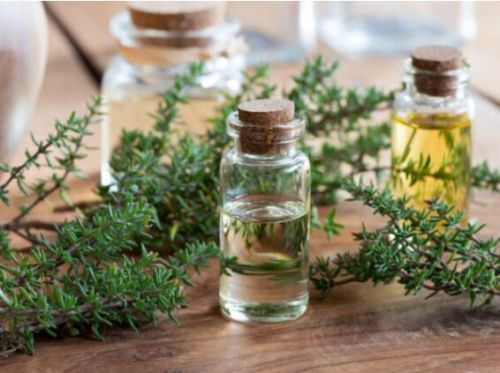 Thyme Oil