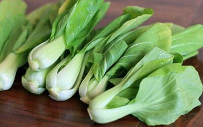 Lettuce Bok Choy