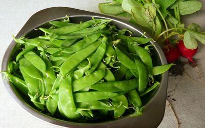 Snow Peas