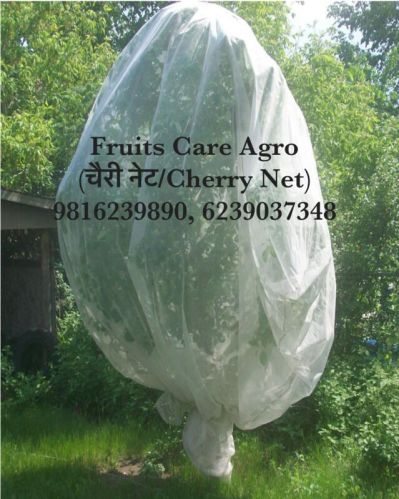 Plain Bird Net, Technics : Machine Made