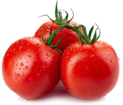 Fresh Tomato