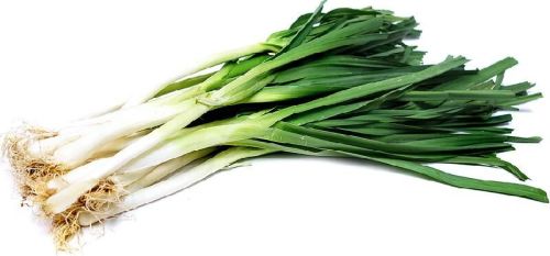 Organic Fresh Leeks, Grade : AA