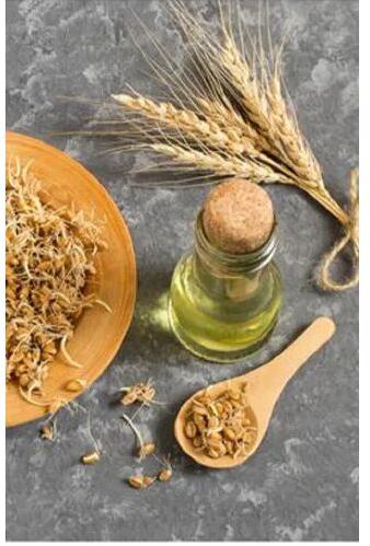 Wheat Germ Oil, Packaging Type : Glass Bottle