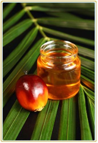 Organic Palm Kernel Oil, For Cooking, Feature : Absolutely Fresh, Completer Pure, Good Quality, Highly Effective