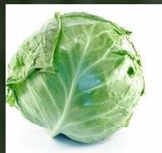 Fresh Cabbage, Shelf Life : 10-15days