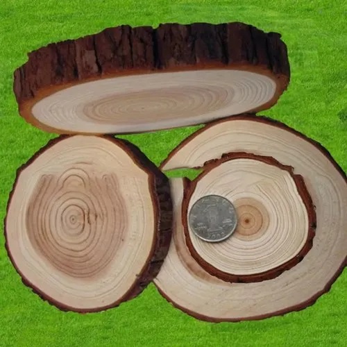 Brown Round Wood Logs