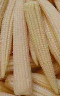 Baby Corn