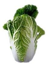 Fresh Chinese Cabbage